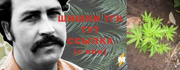 МДПВ Зеленодольск