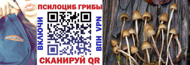 купить наркотики цена  Волгоград  Галлюциногенные грибы прущие грибы 